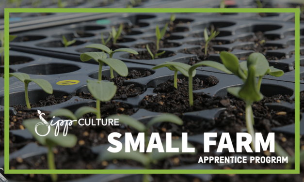 Small Farm Apprenticeship